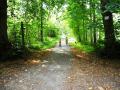 Traversée du Bois de Colfontaine							